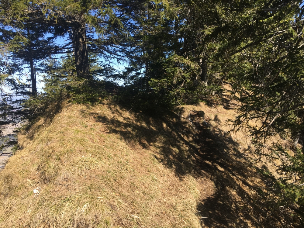 Osterfeuerspitze: Die wenig beeindruckende Osterfeuerspitze, die man am Gratweg passiert ohne es zu merken.