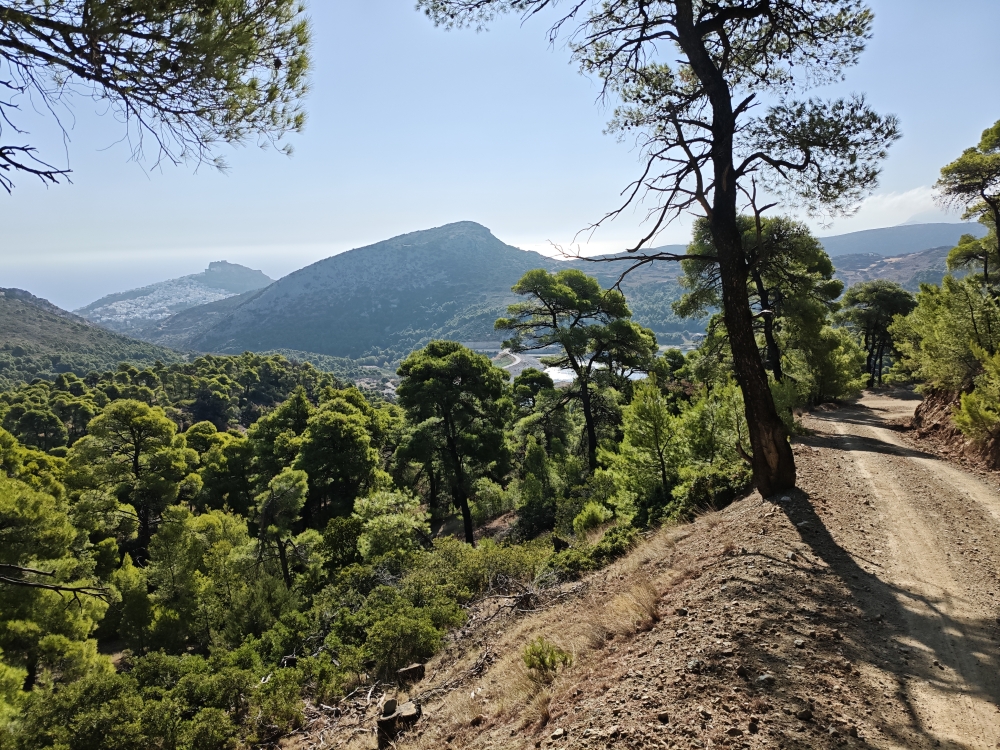 Wanderung Panagia Limbiani: Blick auf Skyros Chora 