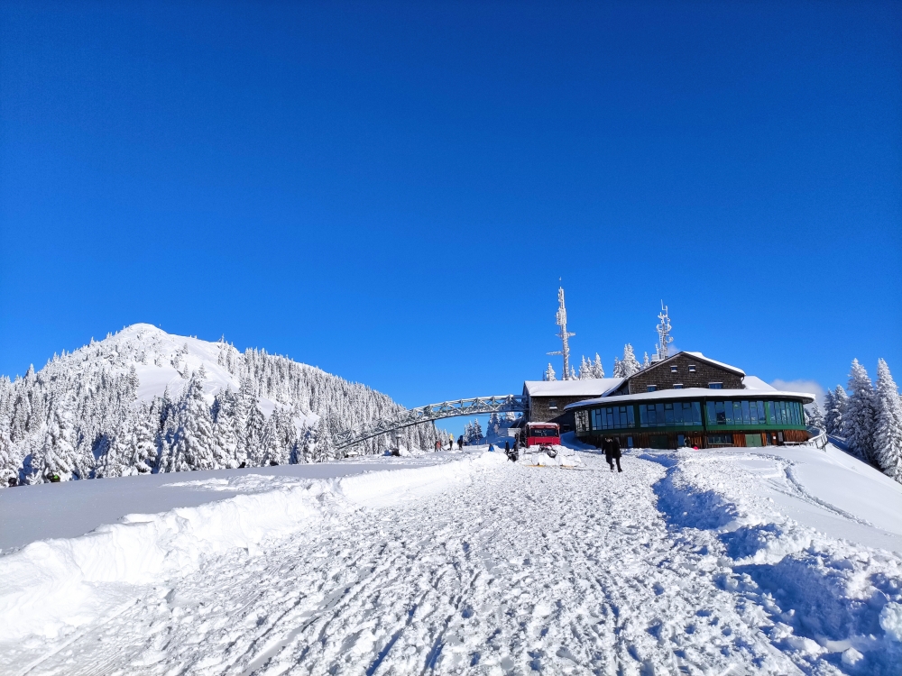 Rodeln Wallberg: Rodeln Wallberg: Panoramarestaurant Wallberg Bergstation der Wallbergbahn und Wallberg