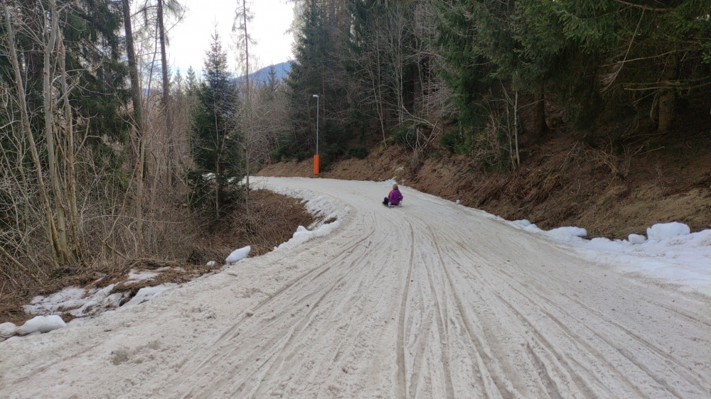 Rodeln am Rosskopf: Knapp 10k. Rodelbahn