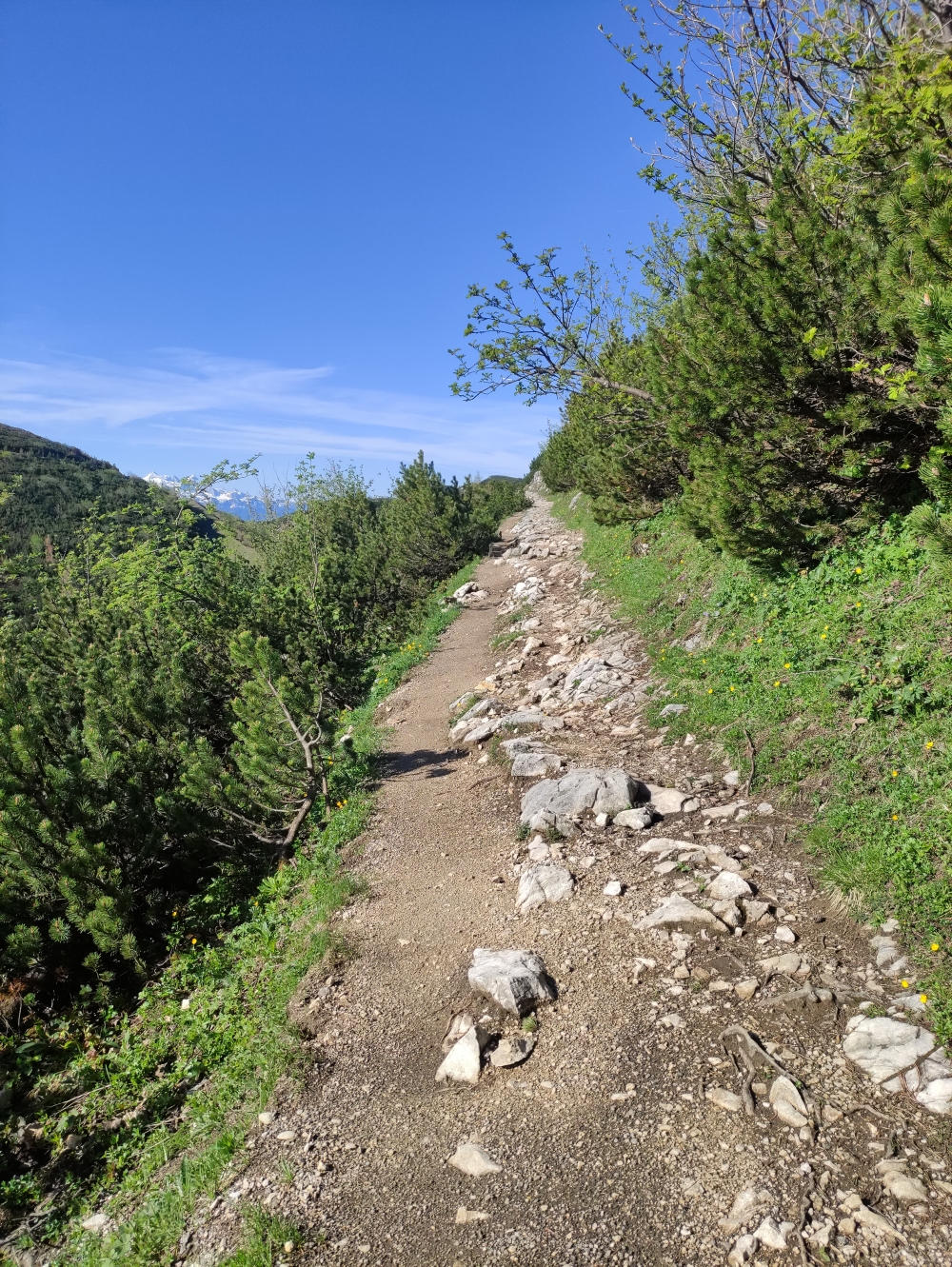 Klettersteig Feuerkogel-Abstieg über Kaiserweg: Der alte, breite Weg zum Alberfeldkogel