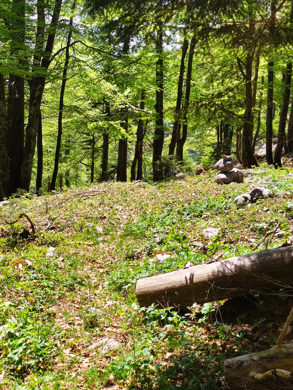 Klettersteig Feuerkogel-Abstieg über Kaiserweg: Steinmännchen weisen den Weg