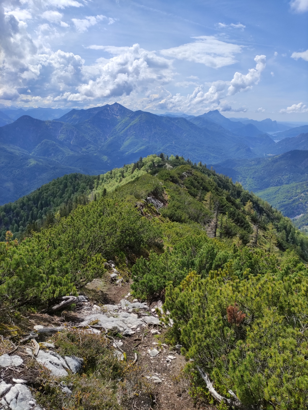 Klettersteig Feuerkogel-Abstieg über Kaiserweg: Unschwer neben dem Grat entlang