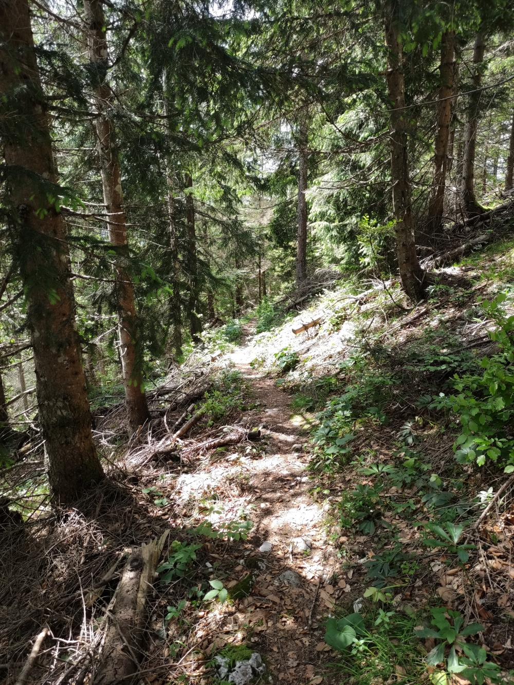 Klettersteig Feuerkogel-Abstieg über Kaiserweg: Abstieg