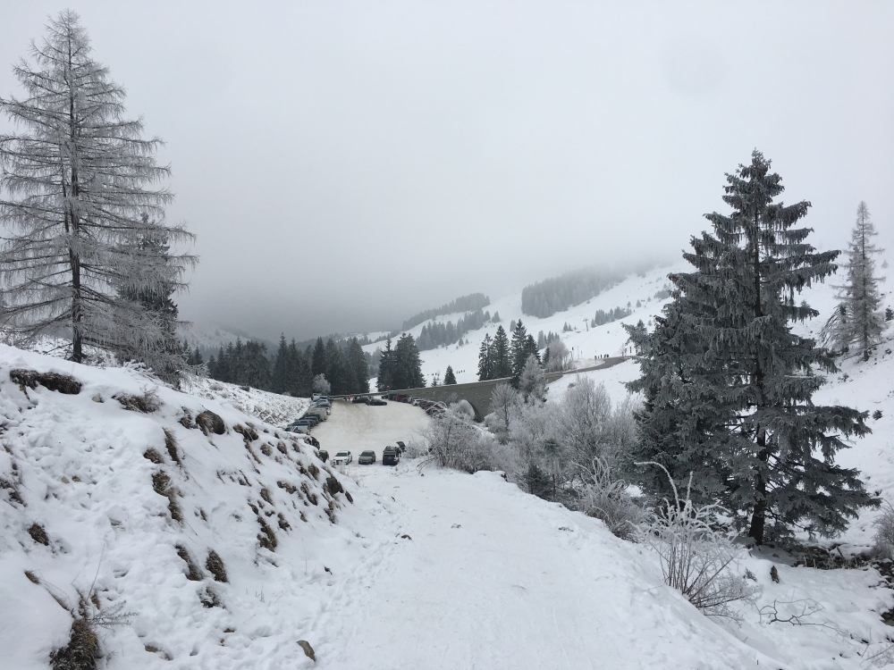 Wanderung Wildalpjoch: Wanderung Wildalpjoch: Blick auf den Parkplatz und das Skigebiet