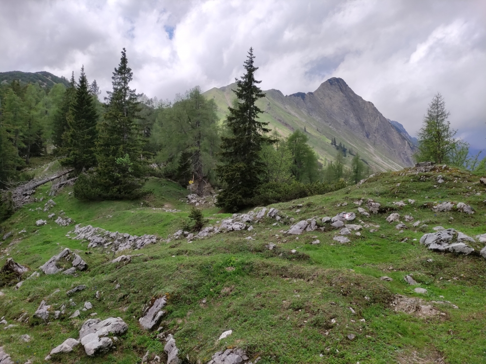 Wanderung Seekarspitze und Seebergspitze : Wanderung Seekarspitze und Seebergspitze : Im Sattel (Pasillsattel)