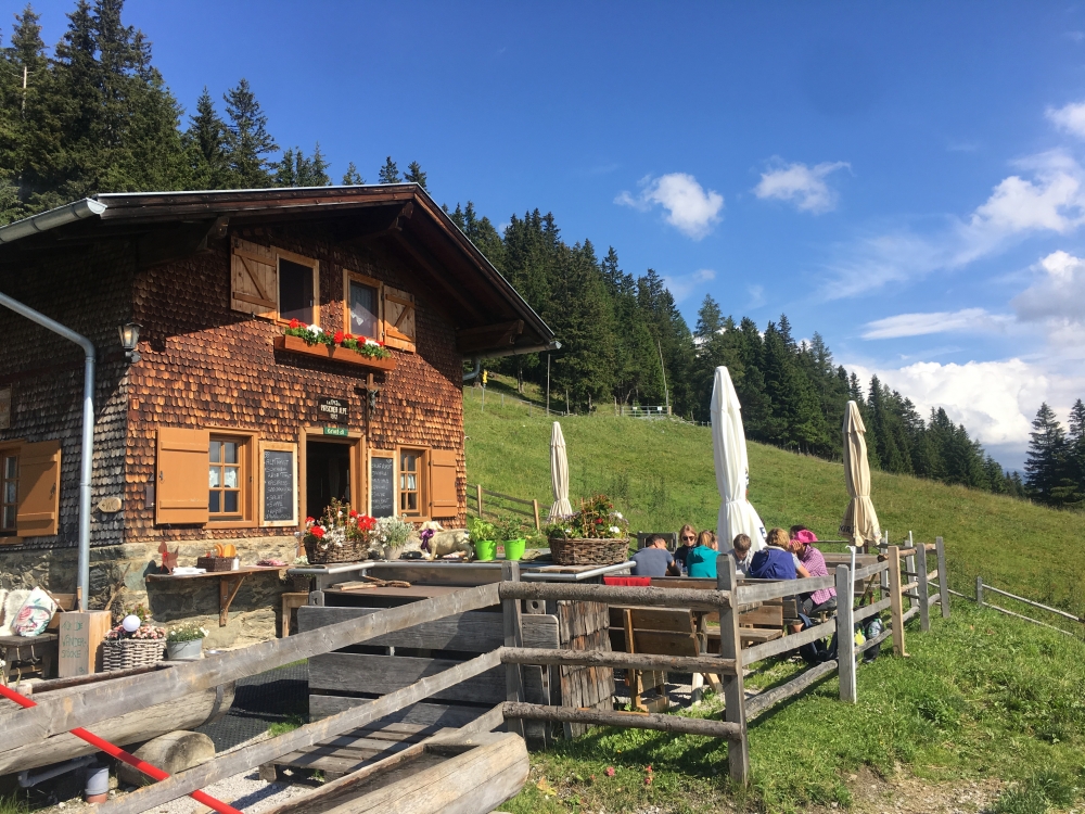 Wanderung Patscherkofel: Wanderung Patscherkofel: Terrasse der Patscheralm (Patscher Alm)