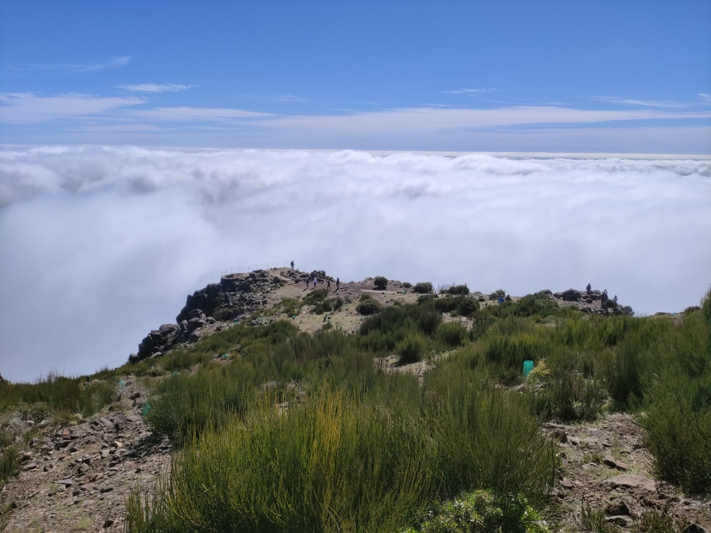 Wanderung PR1 Vereda do Areeiro: Weg zum Aussichtspunkt