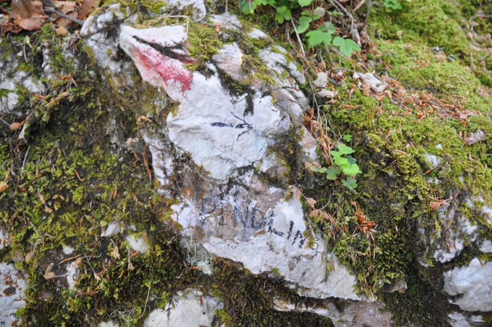 Wanderung Pendling Nord: Der vor allem im oberen Teil steile Aufstieg ist gut markiert