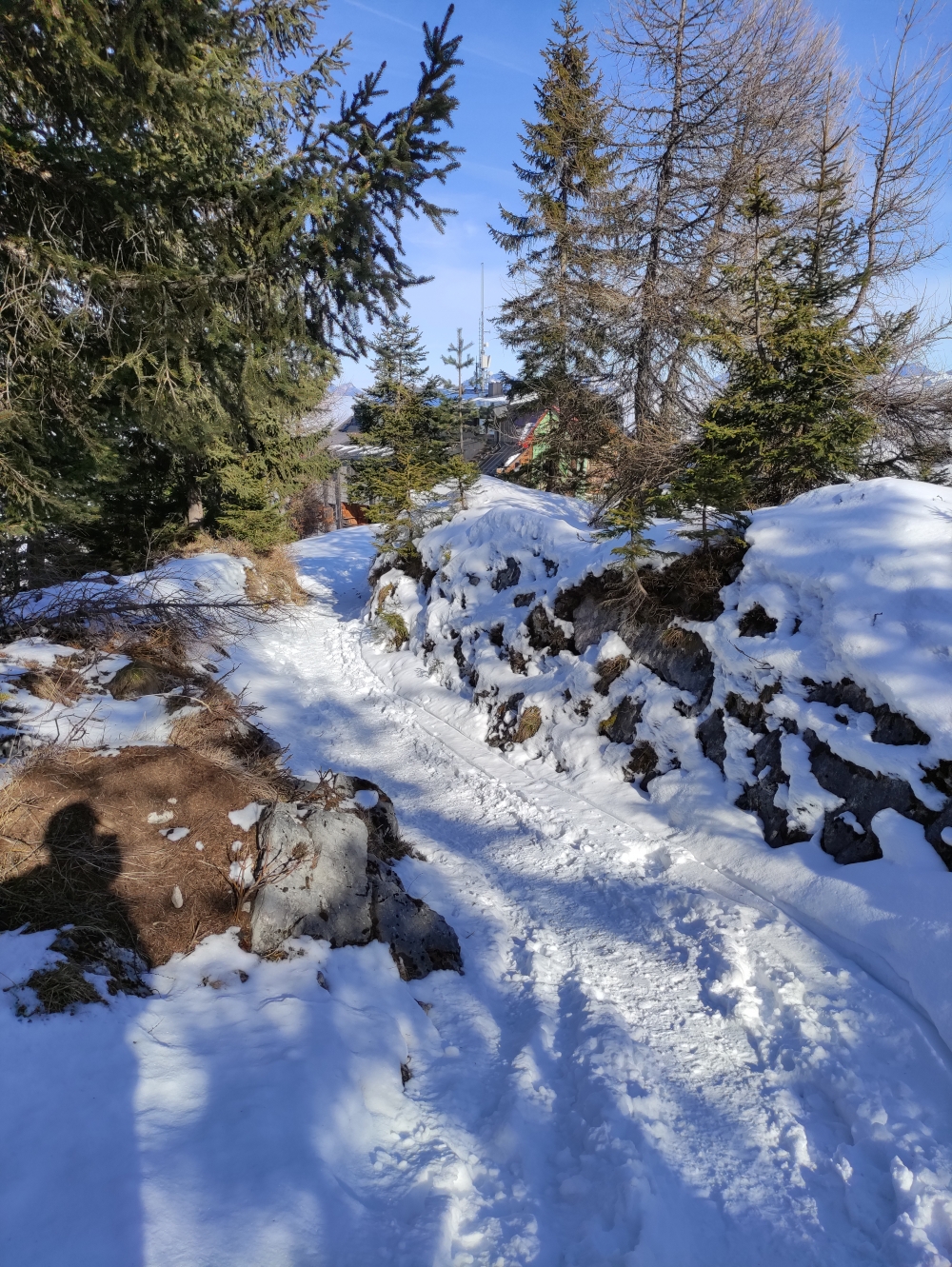Wanderung Pendling Nord: Wanderung Pendling Nord: Auch im Winter gut besucht