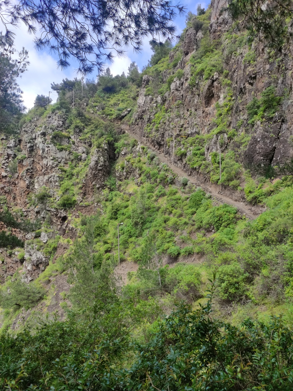 Wanderung Penha de Aguia: Alter Verbindungsweg zur Siedlung über Faial