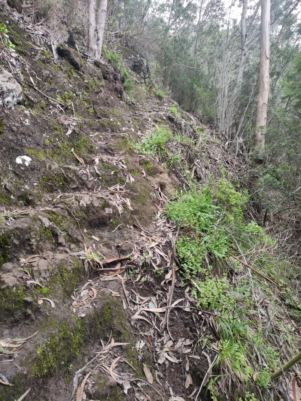 Wanderung Penha de Aguia: Der südliche Steig ist deutlich schwieriger als der westliche Weg