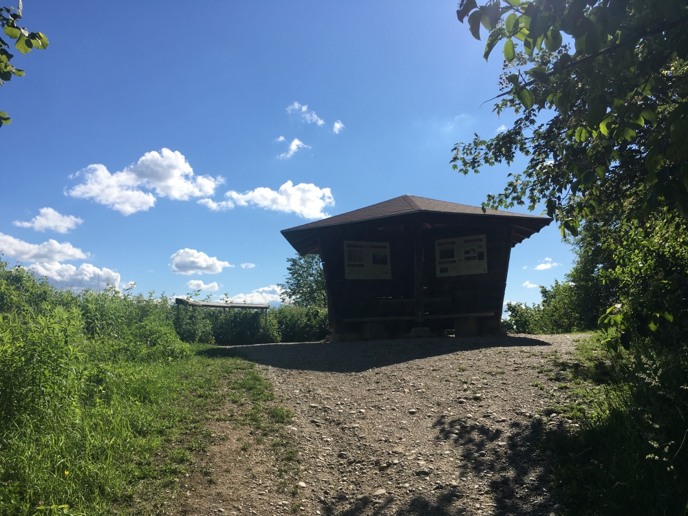 Perlacher Mugl: Unterstand / Pavillon auf dem Perlacher Mugl
