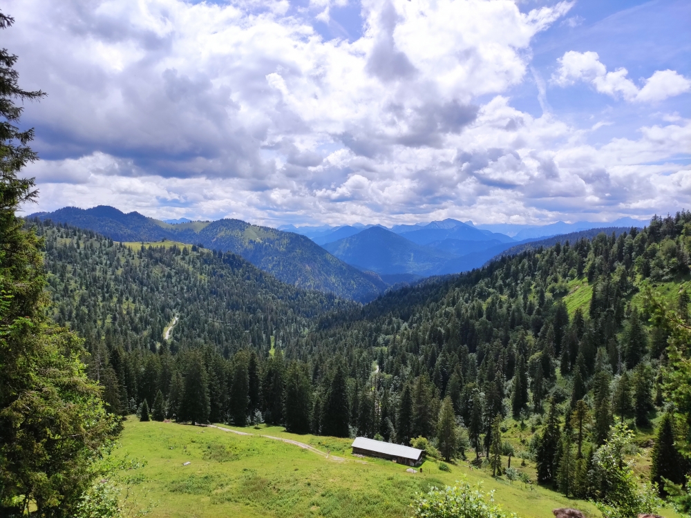 Wanderung Rabenkopf: Wanderung Rabenkopf: Blick über die Pessenbacher Alm nach Süden (Pessenbacher Schneid)