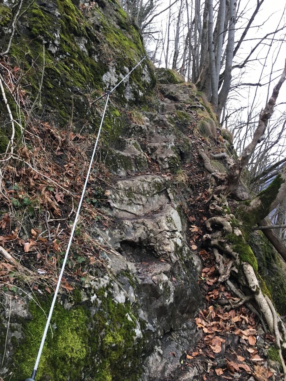 Wanderung Große Riesenkopfrunde: Die "Steinerne Stiege"