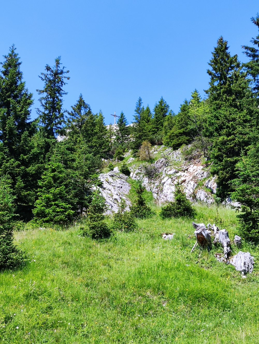 Wanderung Petersköpfl über Musikantensteig: Blick zum Gipfel