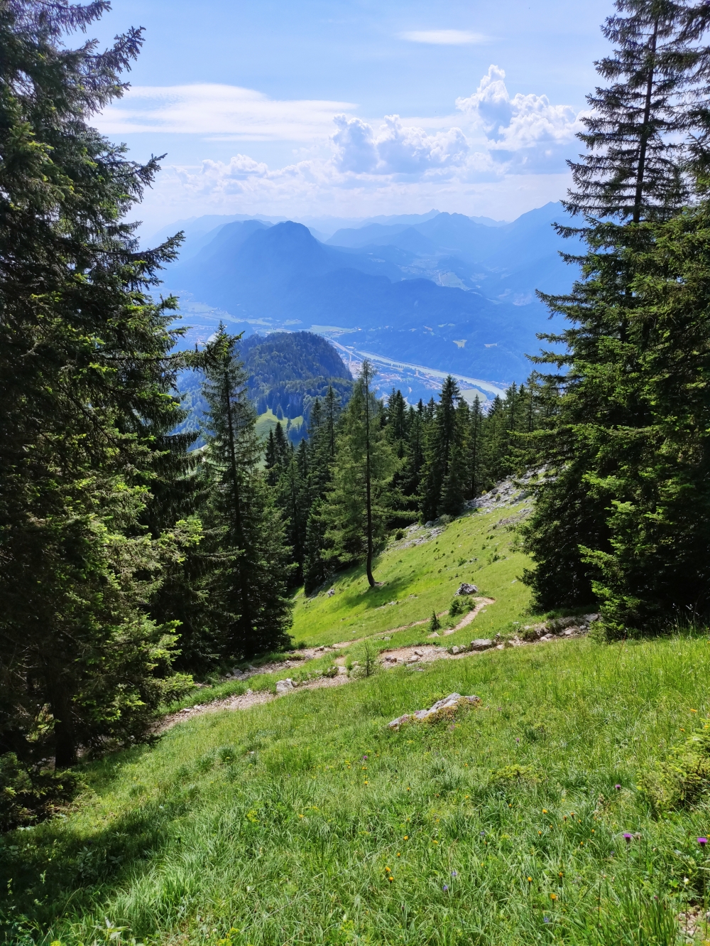 Wanderung Petersköpfl über Musikantensteig: Weg