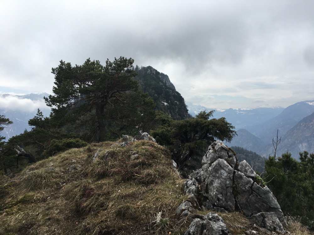 Wanderung Rabensteinhorn: Wanderung Rabensteinhorn: Blick vom unscheinbaren Gipfel des Pflasterbachhörndl auf das Rabensteinhorn