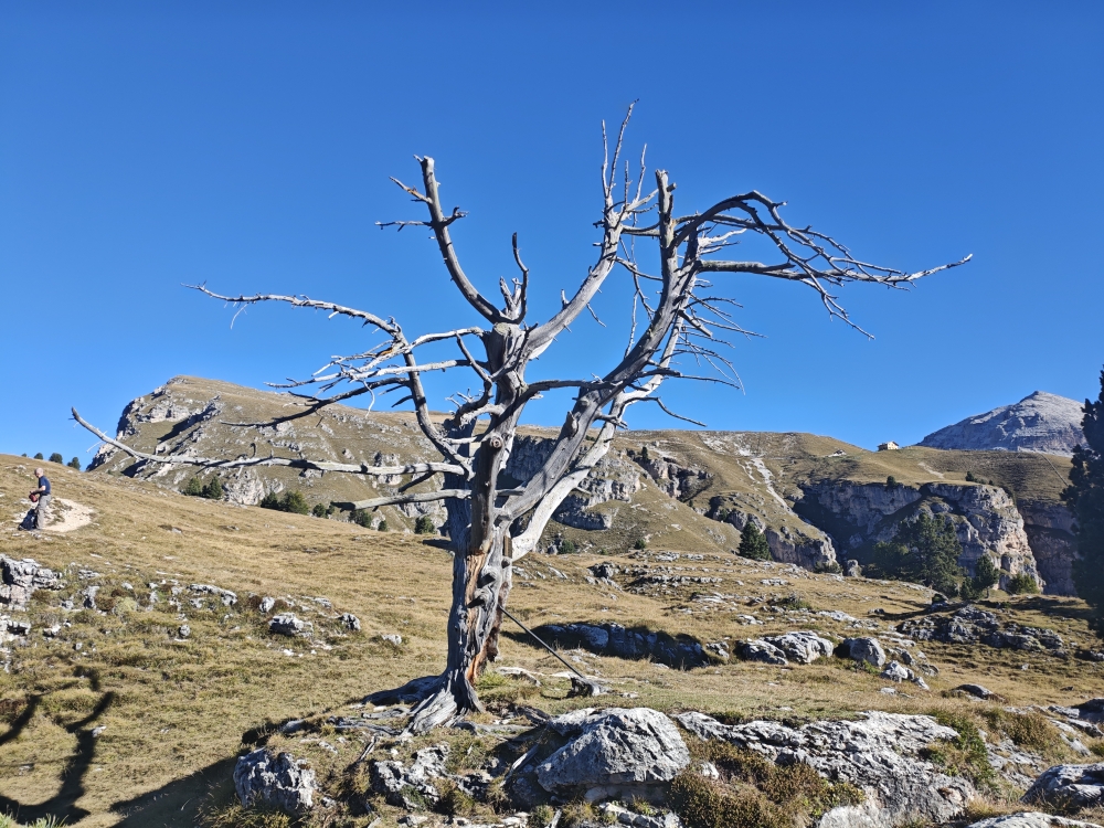 Wanderung Piz Duleda: Hinten rechts die Stevia Hütte 