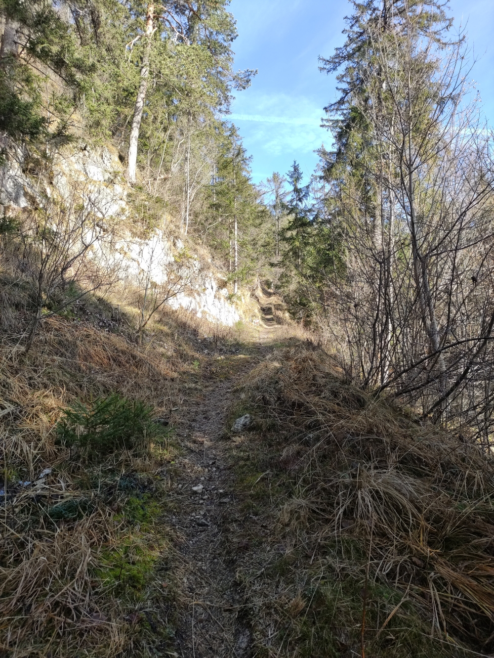 Wanderung Pletzachkogel: Ein steiler, schmaler Steig