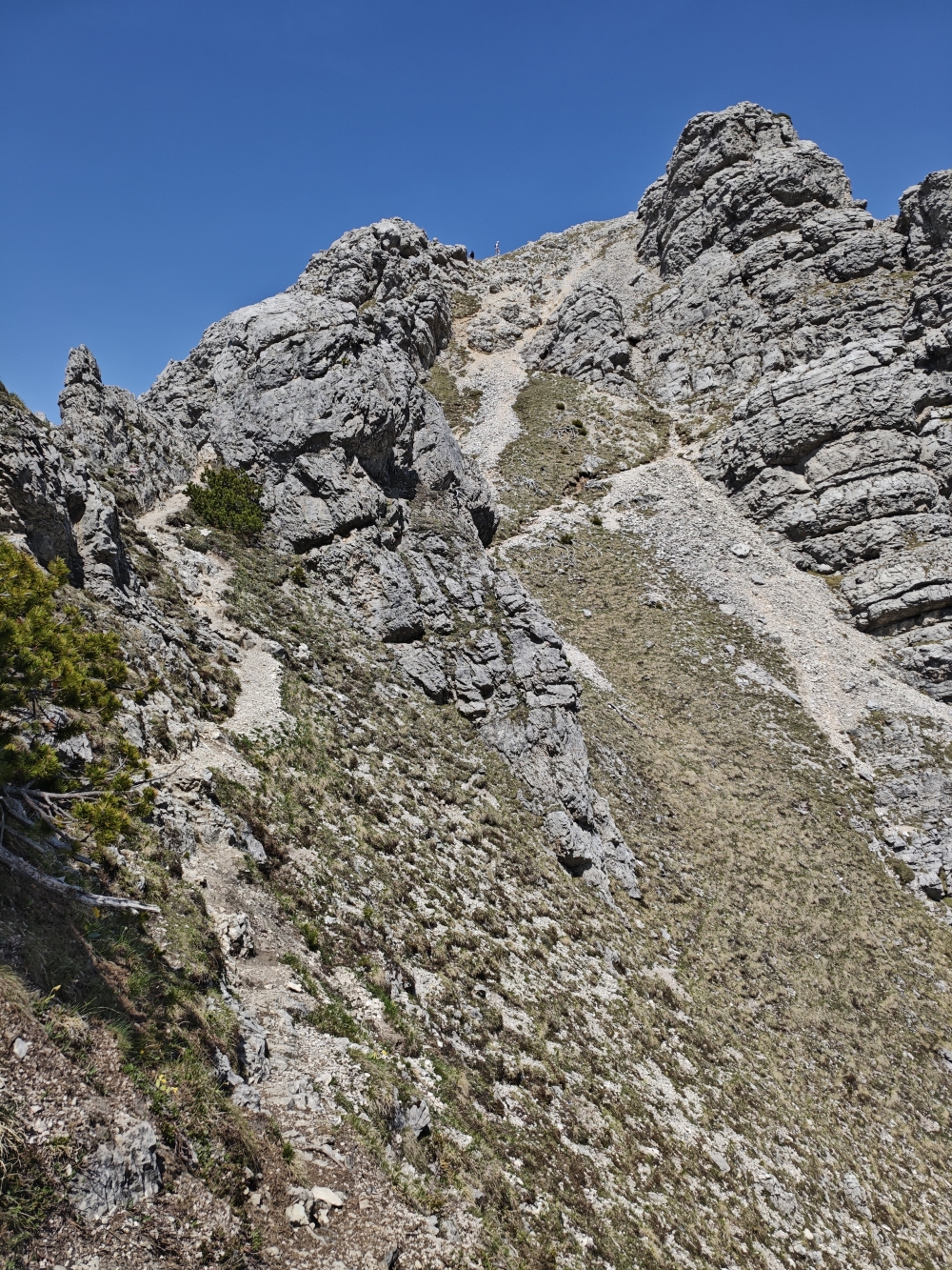 Zirleseck -> Rohnenspitze: Aufstieg zum Gipfel
