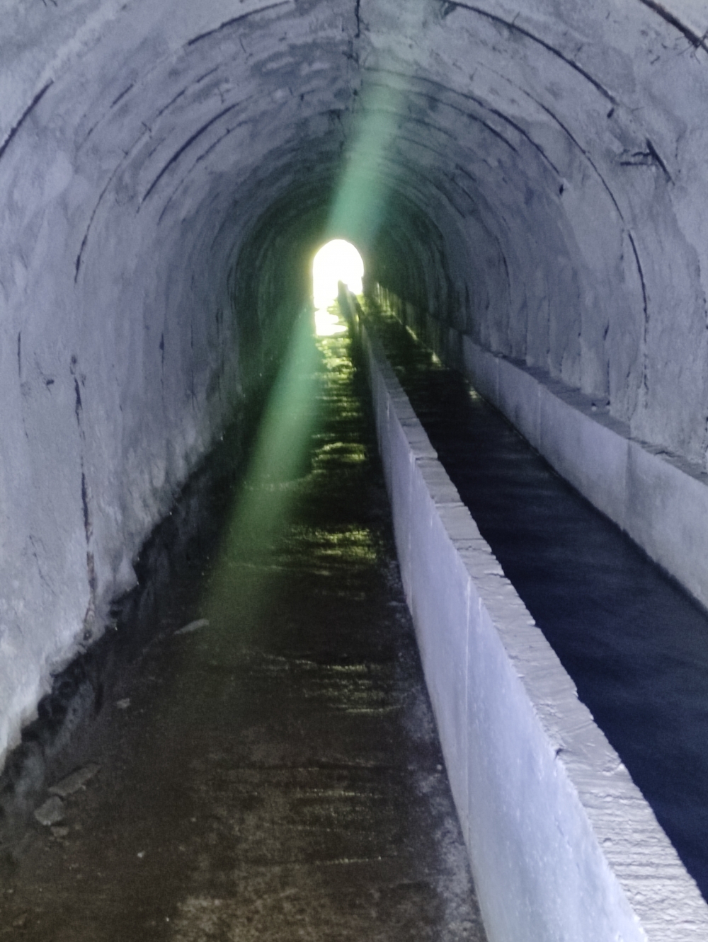 Wanderung PR16 Levada Fajã do Rodrigues: Wären nur alle Tunnel so breit