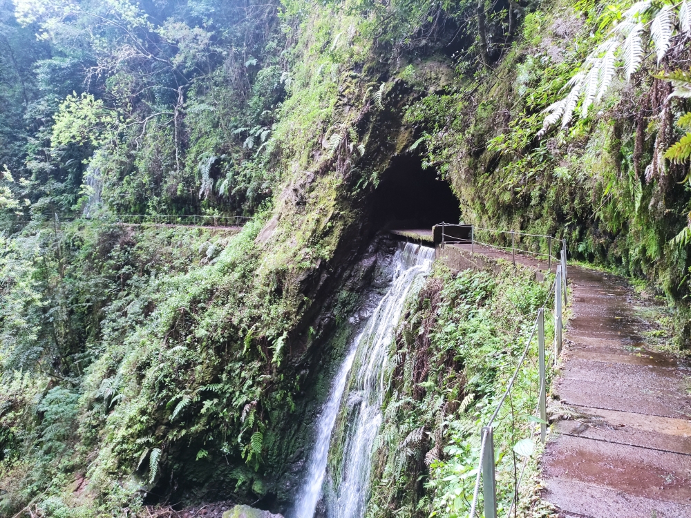 Wanderung PR16 Levada Fajã do Rodrigues: Ein kürzerer Tunnel