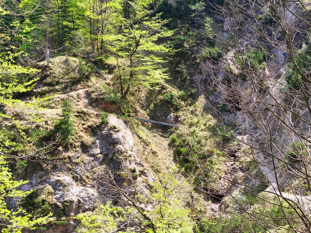 Wanderung Predigtstuhl: Weg