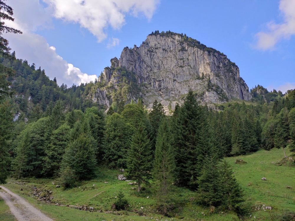 Wanderung Hennenkopf: Wanderung Hennenkopf: Blick auf die Nordwand der Probstenwand  (Probstalm)