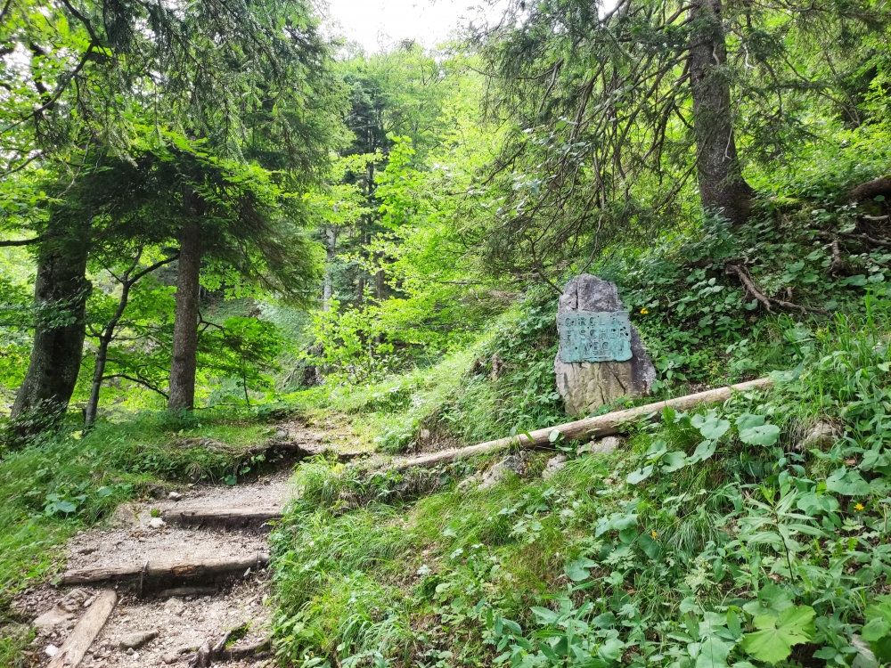 Wanderung Rabenkopf: Girgl Fischer Weg