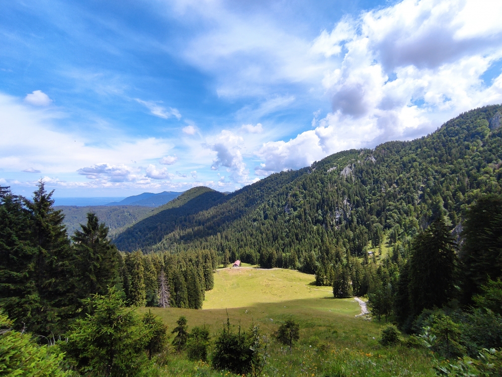 Wanderung Rabenkopf: Blick zur Orterer Alm
