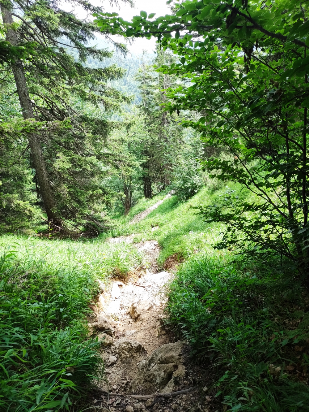 Wanderung Rabenkopf Überschreitung: Der Ostanstieg zum Rabenkopf