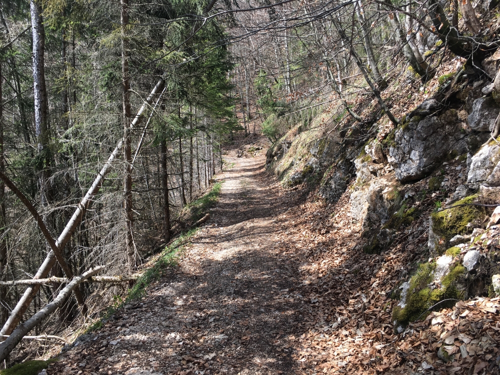 Wanderung Rabensteinhorn: Zwischen Bürgermeisterhöhe und Abzweig zum Pflasterbachhörndl zieht sich der Weg zunächst etwas