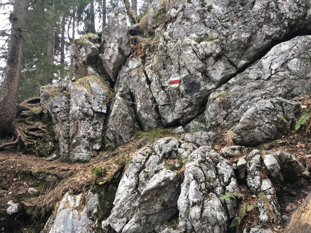 Wanderung Rabensteinhorn: Kurze Seilsicherung unterhalb des Gipfels