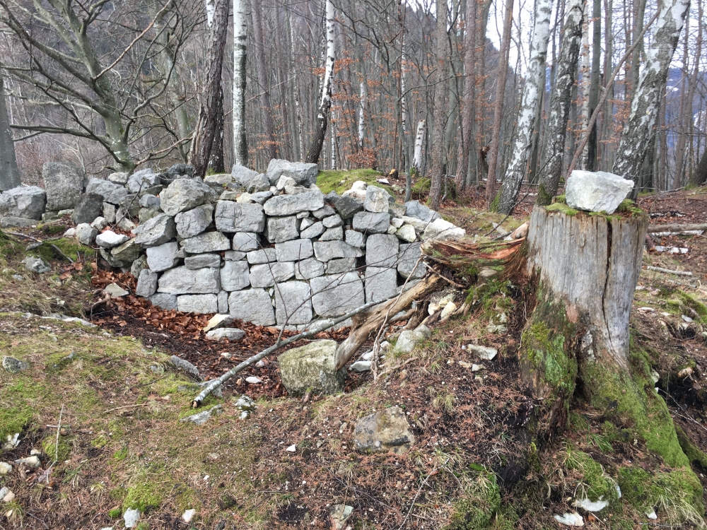 Wanderung Große Riesenkopfrunde: Wanderung Große Riesenkopfrunde: Viel ist leider nicht mehr übrig von der Burg. (Rachelburg)