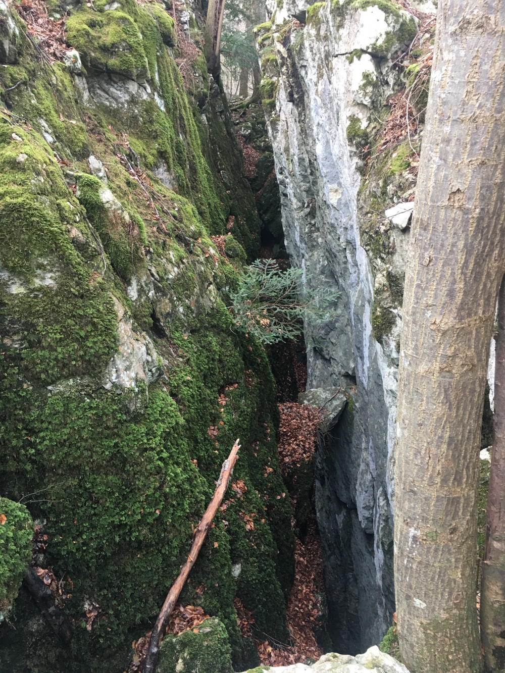 Wanderung Große Riesenkopfrunde: Blick von oben in die Schlucht