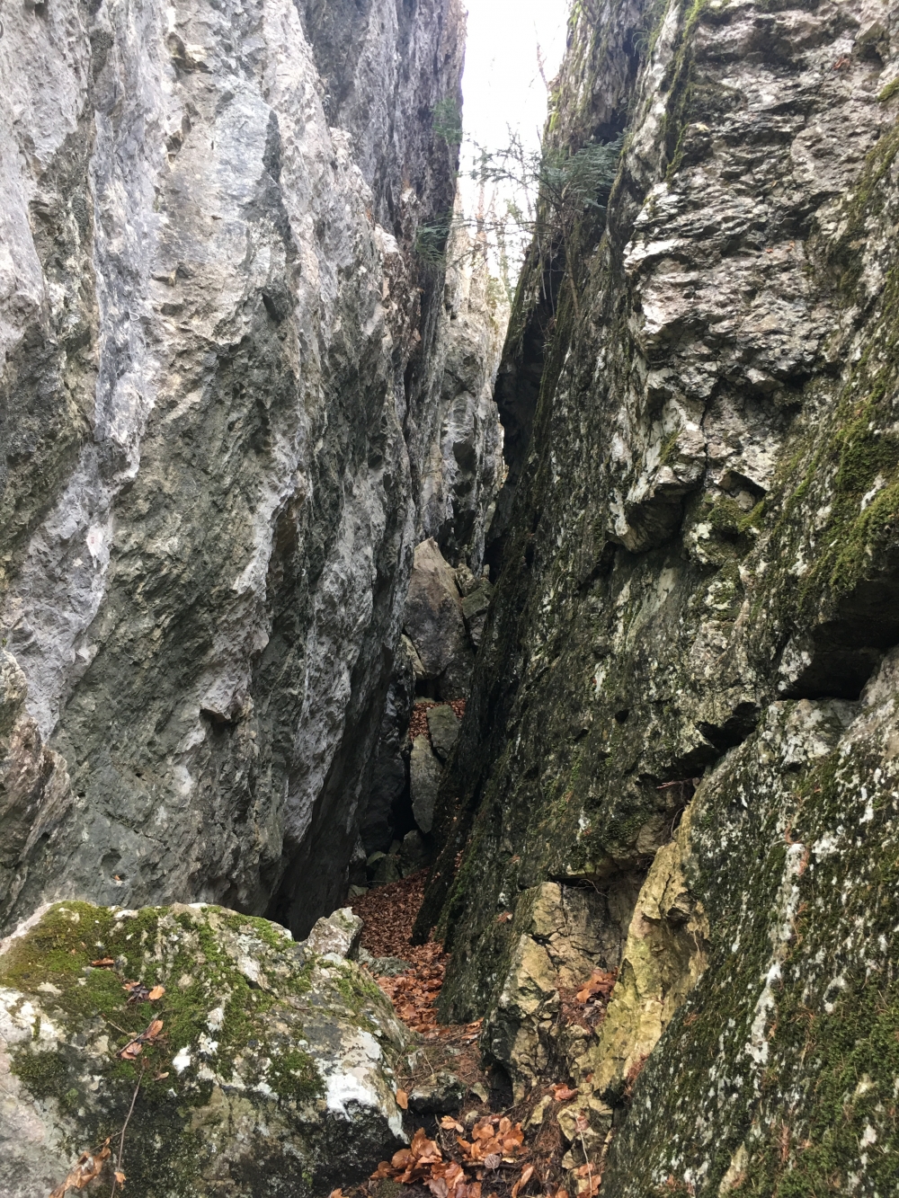 Wanderung Große Riesenkopfrunde: Wanderung Große Riesenkopfrunde: Blick vom südwestlichen Eingang in die Schlucht (durch einen Felssturz verblockt). (Rachelschluchthöhle)