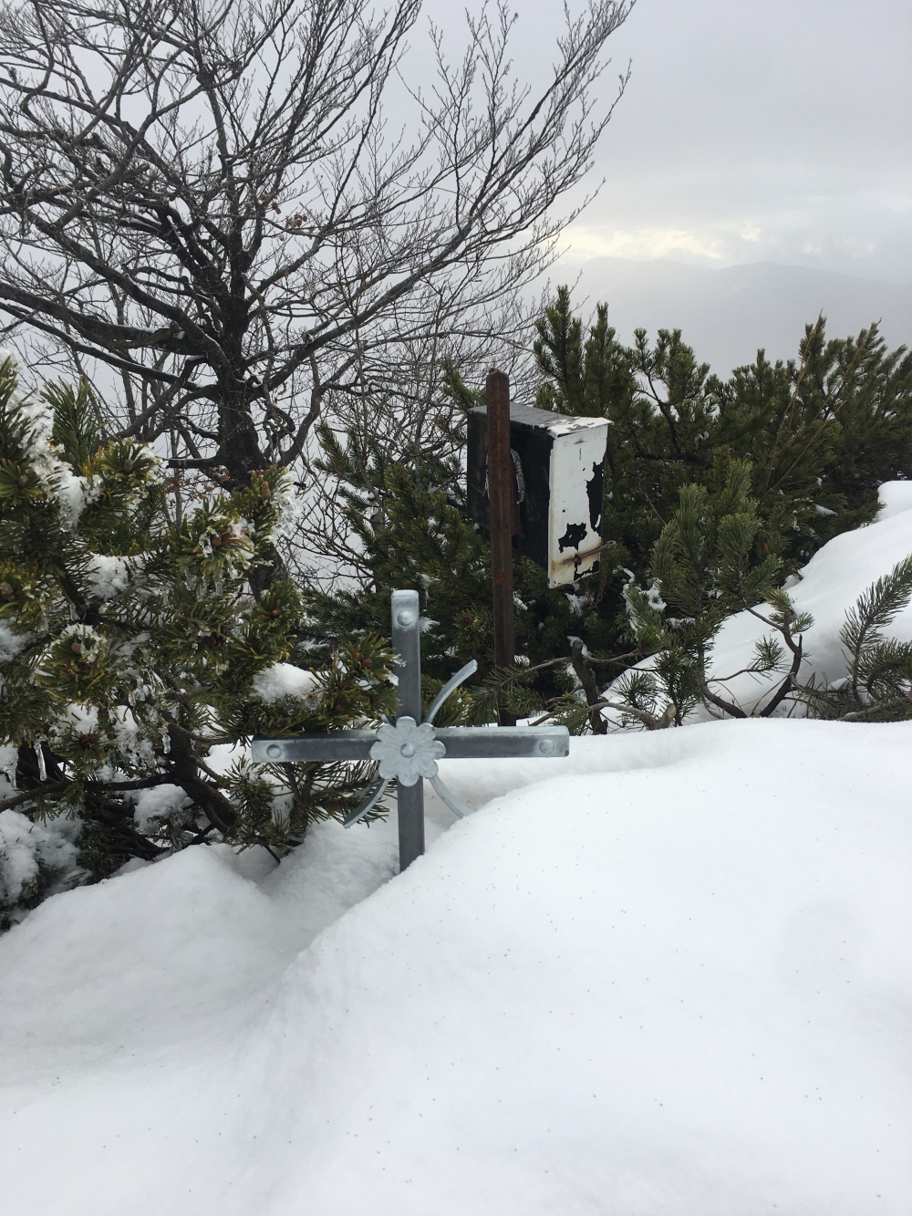 Wanderung Bodenschneid-Grat zum Rainerkopf: Wanderung Bodenschneid-Grat zum Rainerkopf: Gipfelkreuz Rainerkopf