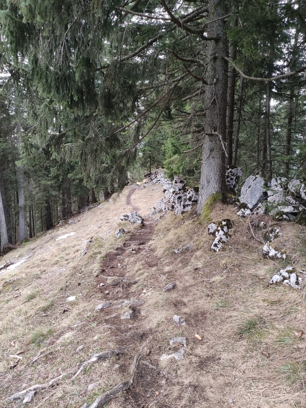 Wanderung Rauheck: Am Grat