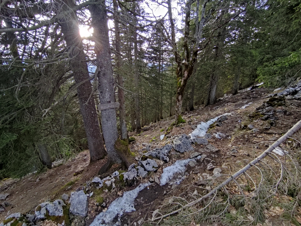 Wanderung Rauheck: Schild zum Gipfel