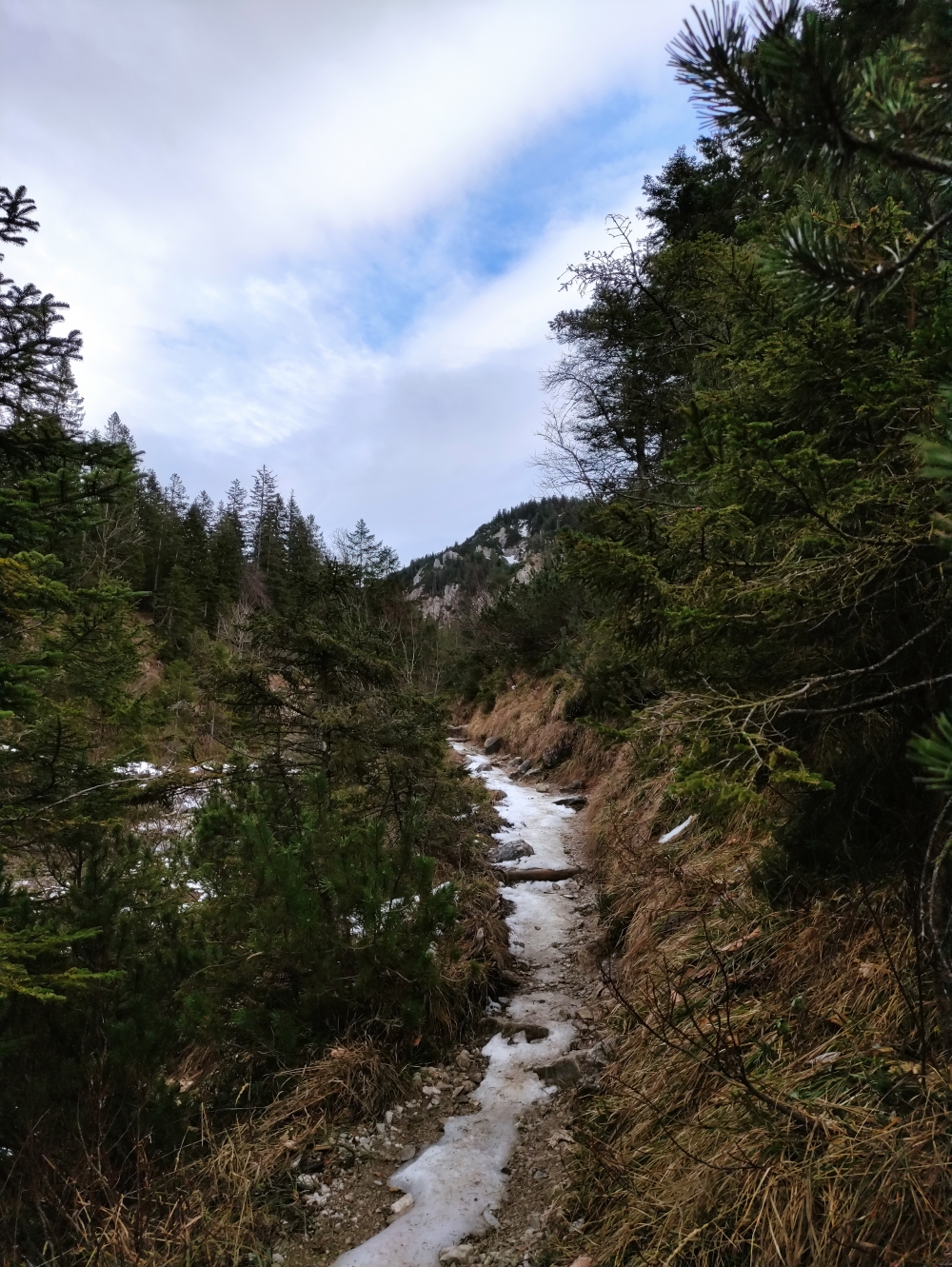 Wanderung Rauheck: Schöner Steig Nr 441 am Bach entlang