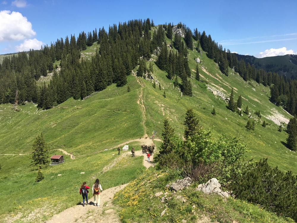 Wanderung Rund um den Hochmiesing: Wanderung Rund um den Hochmiesing: Blick von der Bergstation der Taubensteinbahn auf den Rauhkopf (Raukopf)