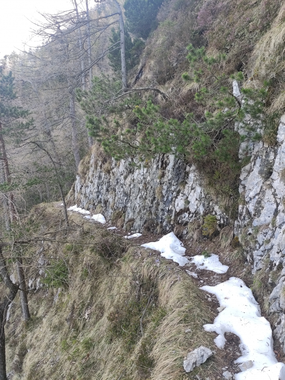 Wanderung Rauschberg: Trittsicher sollte man schon sein