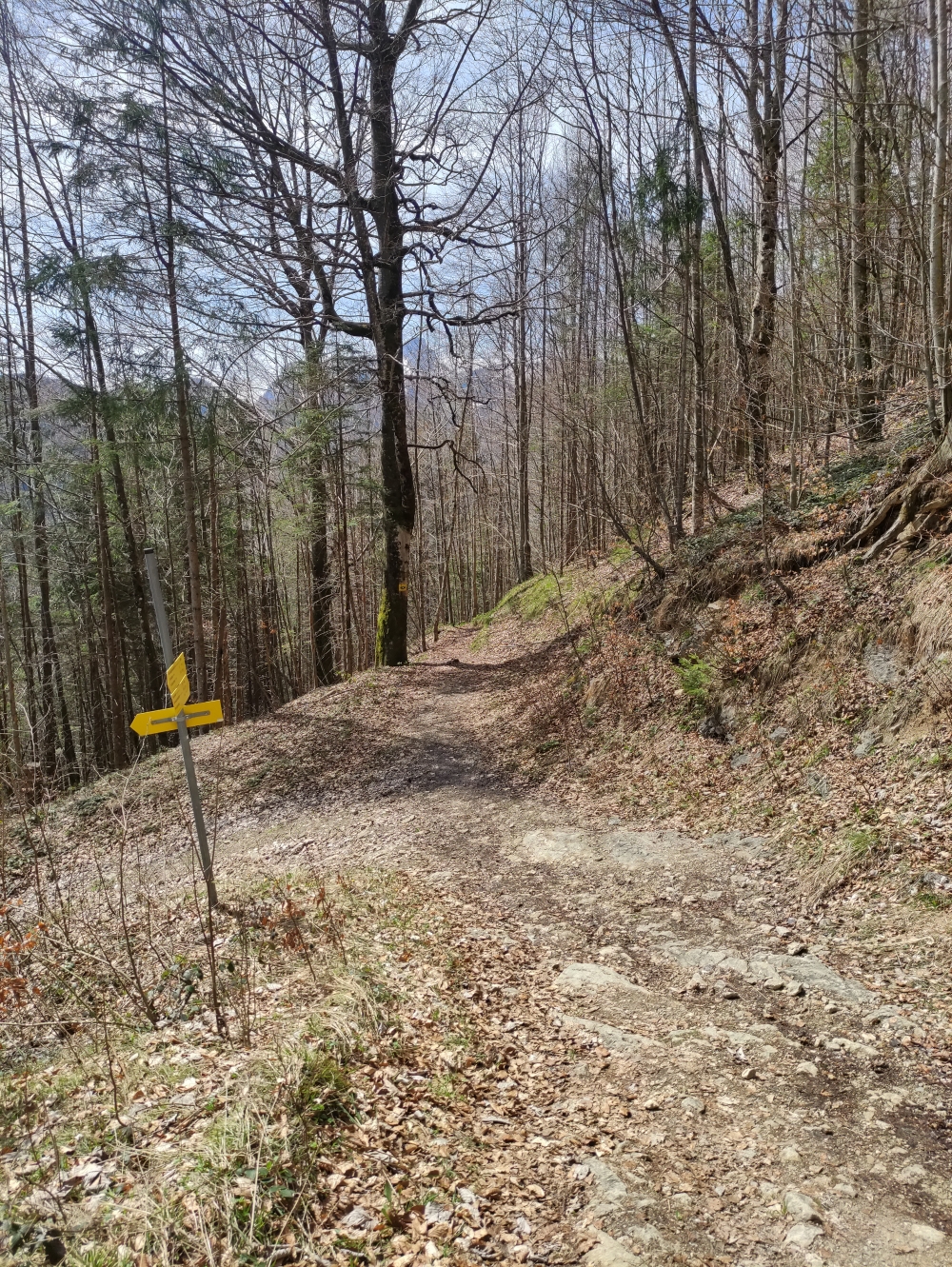 Wanderung Rauschberg: Weg