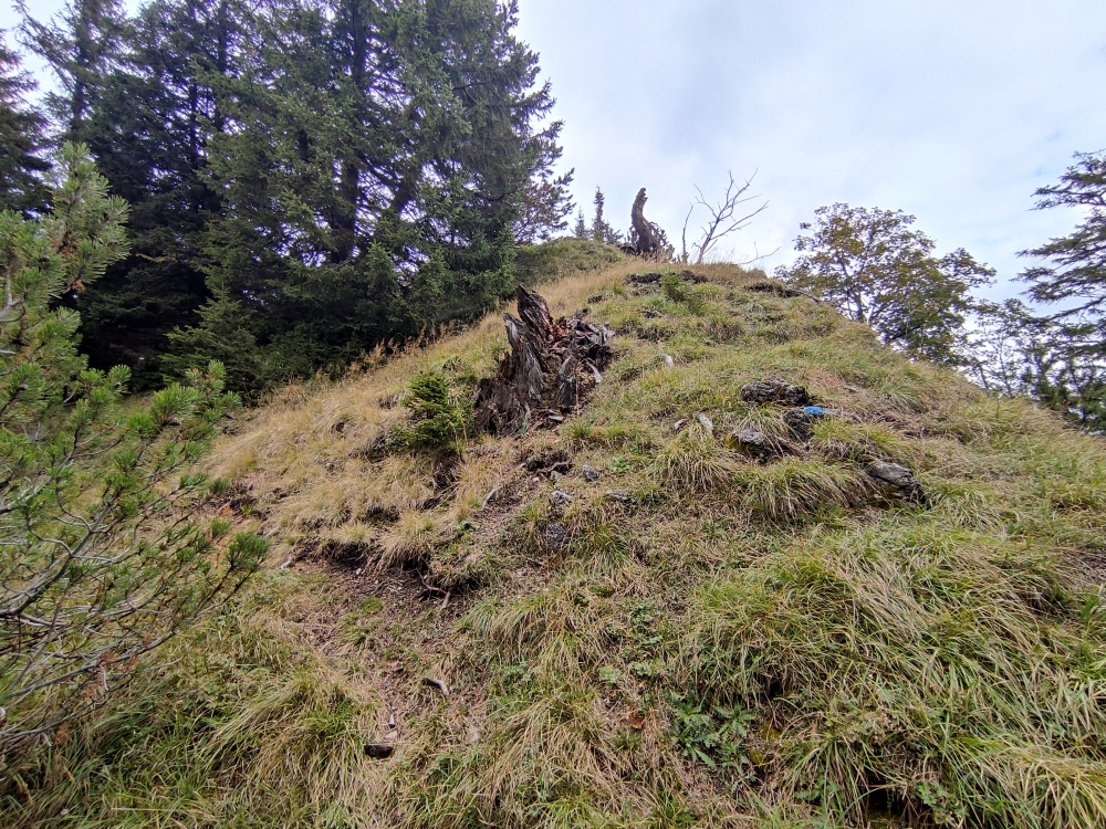Wanderung Herzogstand vom Kochelsee über Rauteckkopf: Wanderung Herzogstand vom Kochelsee über Rauteckkopf: Nur ein Grasbuckel (Rauteckkopf)