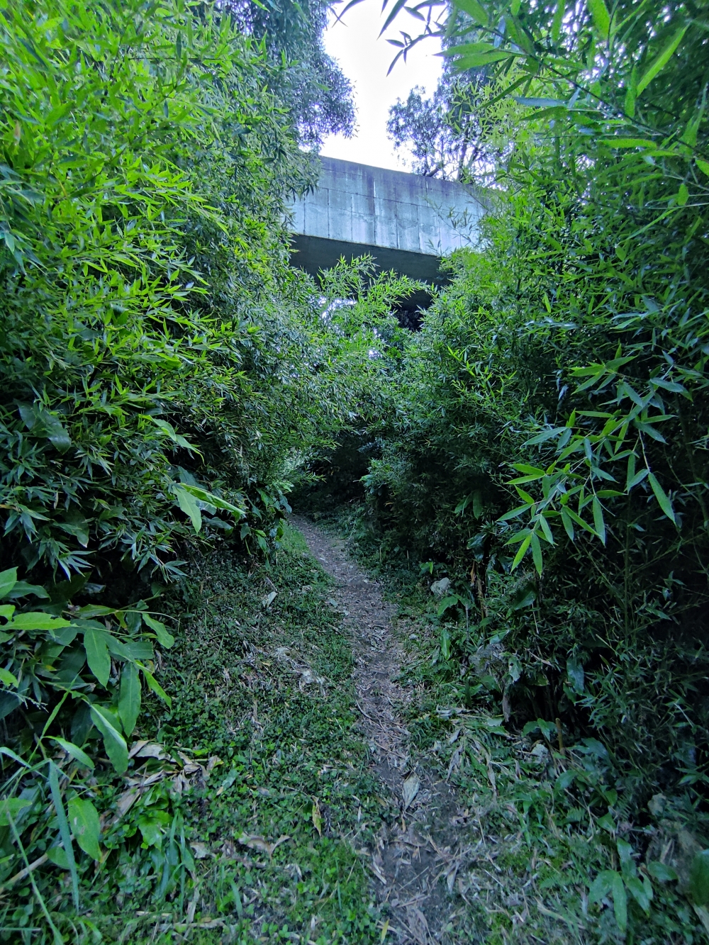Wanderung Redondo Da Ribeira Quente: Unter der Wasserleitung hindurch