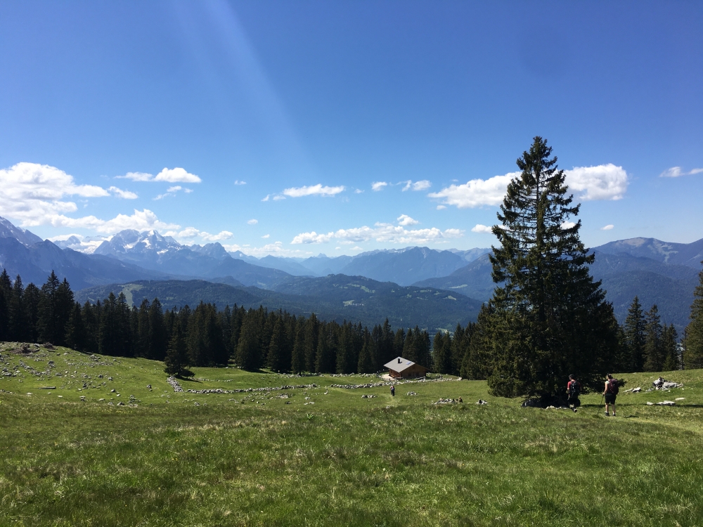 Wanderung Wörner: Wanderung Wörner: Die Rehbergalm mit Zugspitzblick