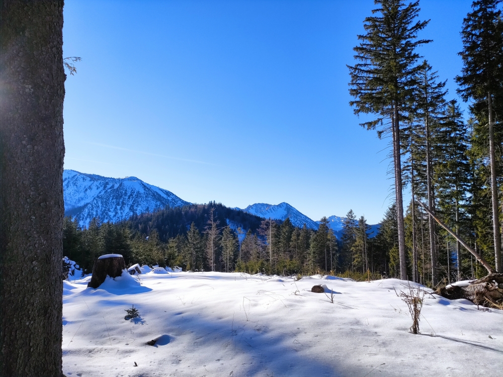 Wanderung Ringspitz: Wanderung Ringspitz: Blick über den bewaldeten Kotlahnerkopf zum Hirschberg und Auerkamp (Reibentennen)