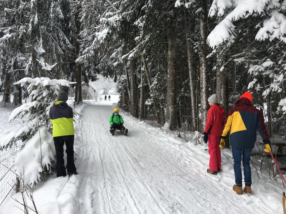 Rodeln Reiseralm: Rodelvergnügen