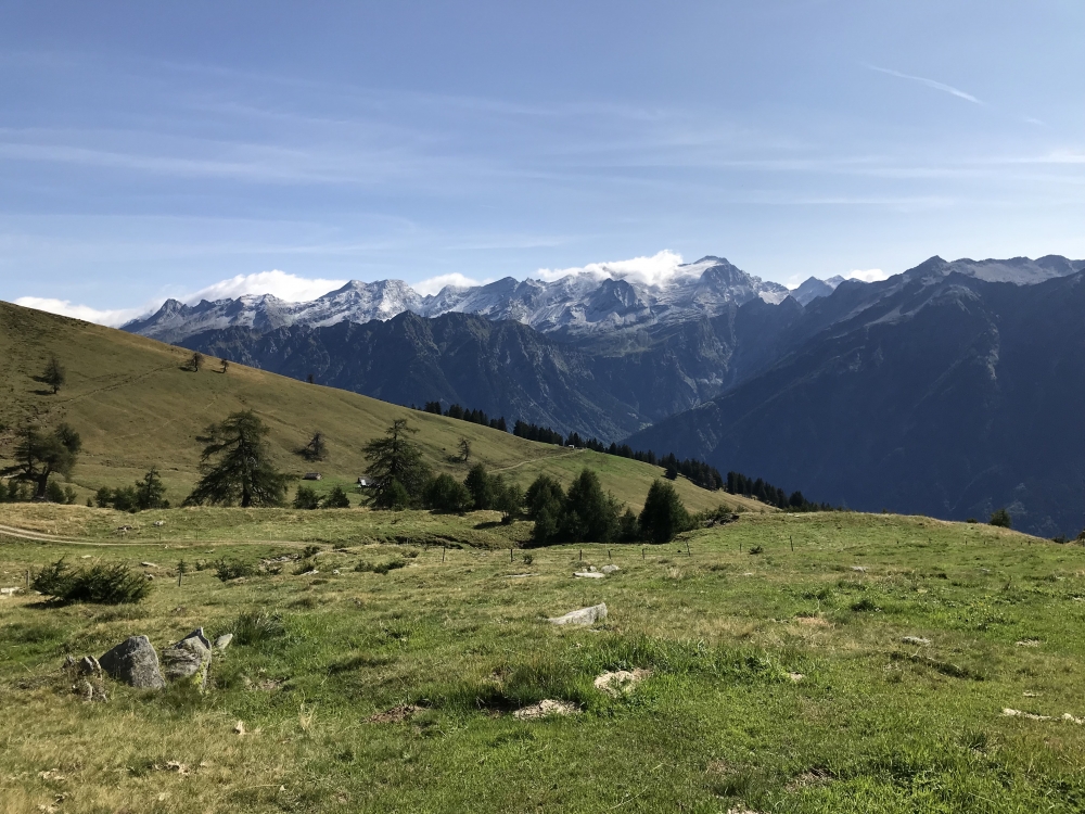 Pizzo Molare: Adula-Blick vom Pizzo Molare